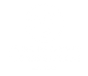 Steingaß Logo white